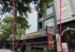 Premises for rent in Hung Phuoc 2 Phu My Hung include a 5-storey house + 1 plot of land, near the corner apartment, 12m wide