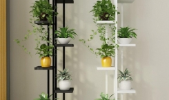 Một Số Mẹo Bố Trí Căn Hộ Hợp Phong Thủy 'Đón' Tài Lộc