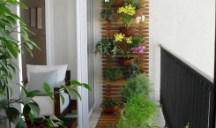 Kiểu trang trí cây xanh trong nhà nhà giúp gia chủ khỏe