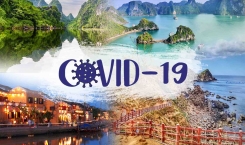 Thị trường bất động sản thời Covid
