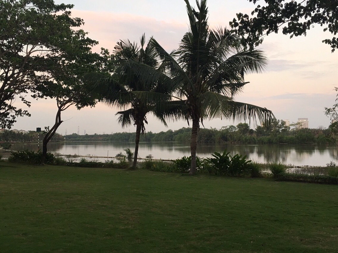 FOR RENT RIVERSIDE APARTMENT IN PHU MY HUNG - TAN PHU WARD - DISTRICT 7 6