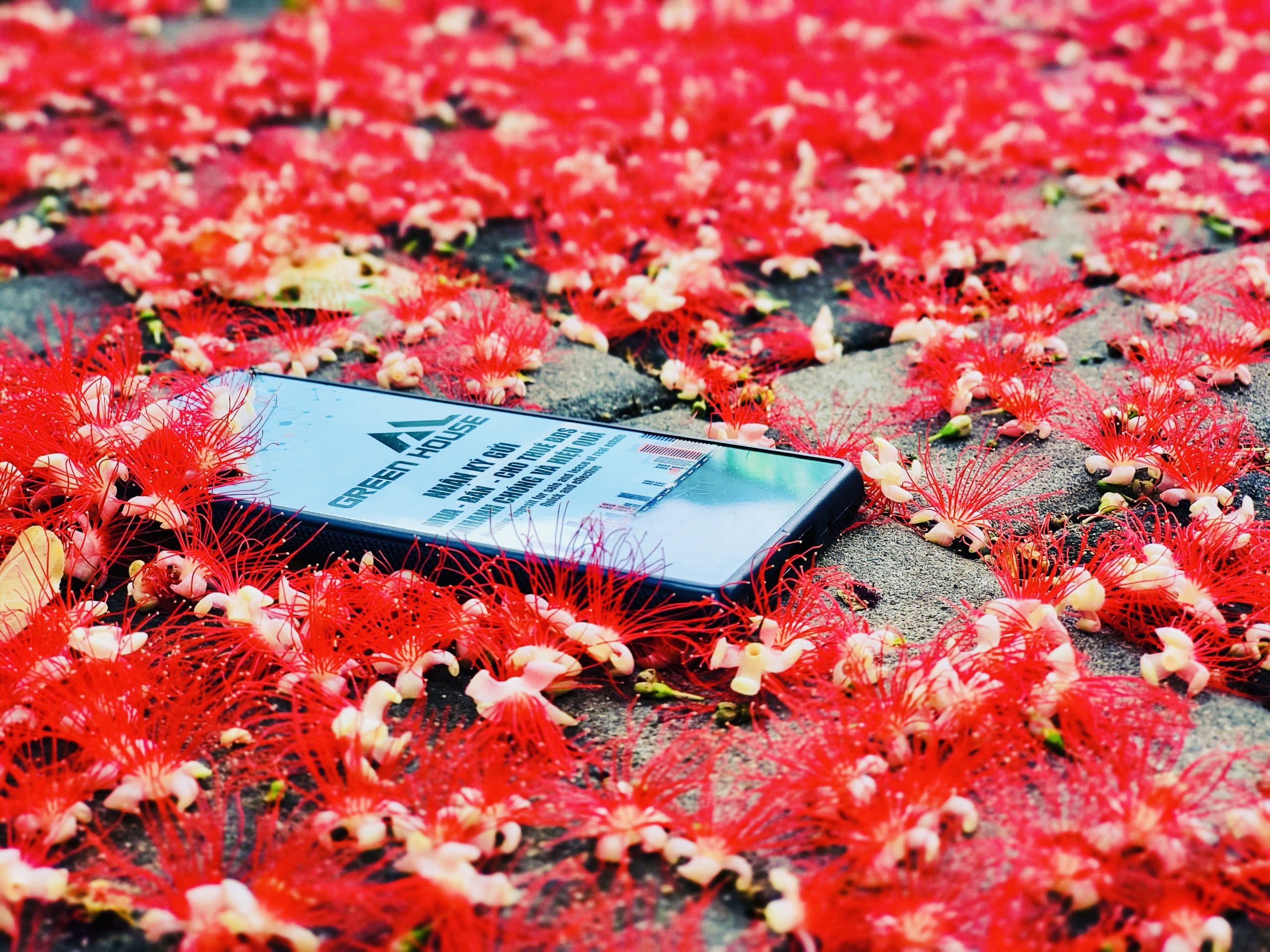 Nhà cho thuê Riviera Point Quận 7 6