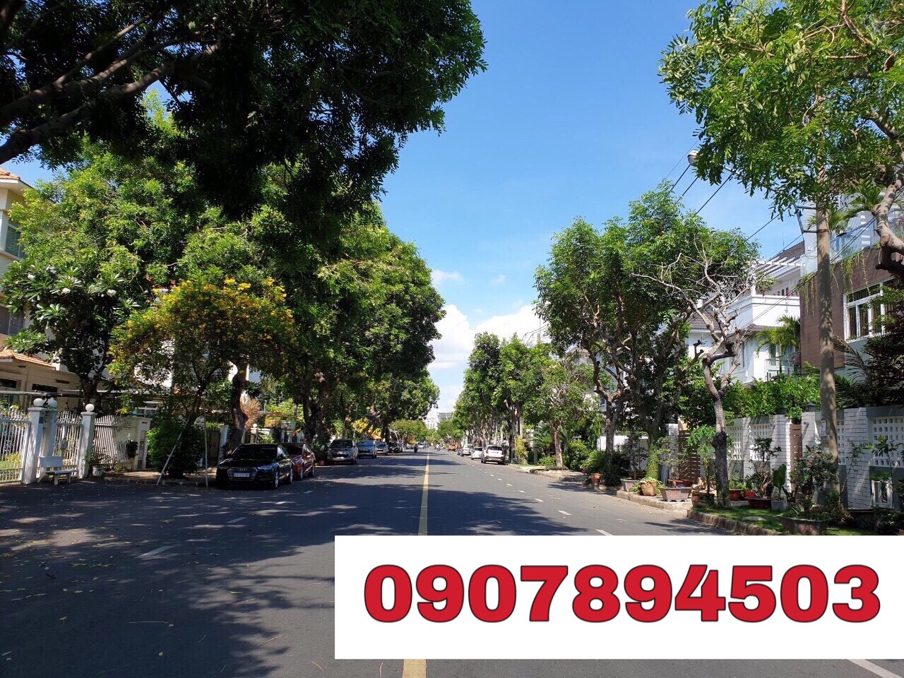 Cần bán gấp biệt thự đường lớn vị trí đẹp Nam Quang Phý Mỹ Hưng Quận 7. Giá tôt thường lượng.