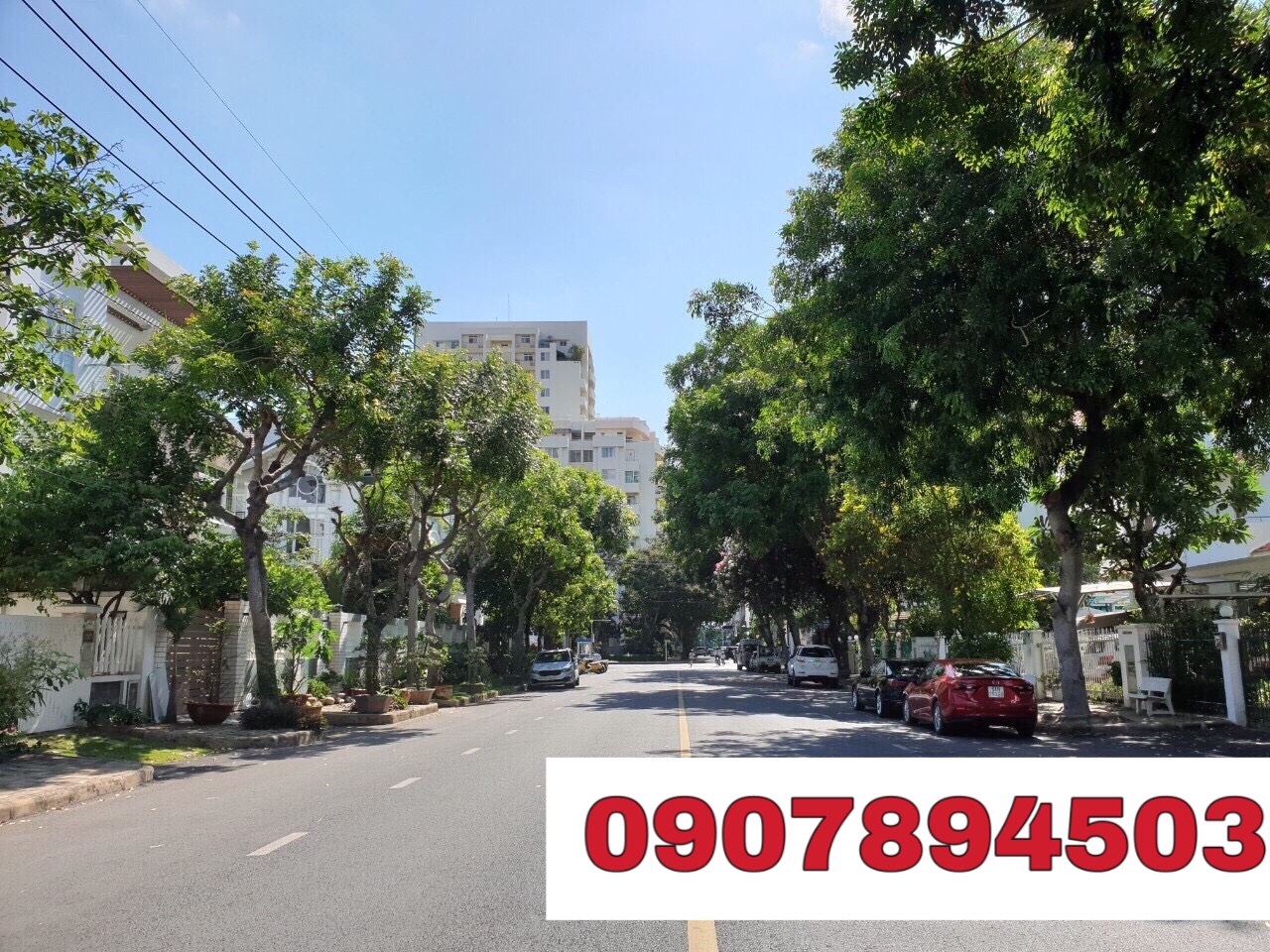 Cần bán gấp biệt thự đường lớn vị trí đẹp Nam Quang Phý Mỹ Hưng Quận 7. Giá tôt thường lượng. 2