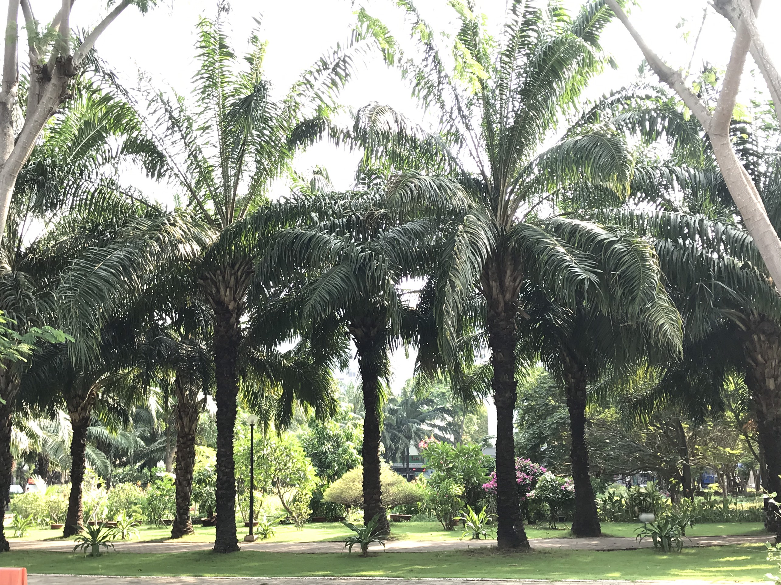 Cần cho thuê biệt thự Mỹ Thái 1- Phú Mỹ Hưng- Quận 7 2