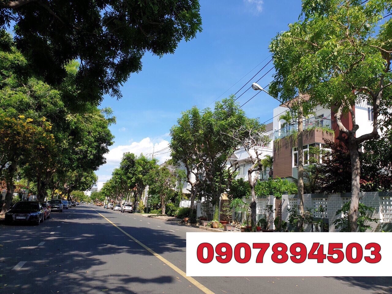 Cần bán gấp biệt thự đường lớn vị trí đẹp Nam Quang Phý Mỹ Hưng Quận 7. Giá tôt thường lượng. 3
