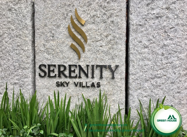 SERENITY SHOP IN DISTRICT 3 FOR RENT 3