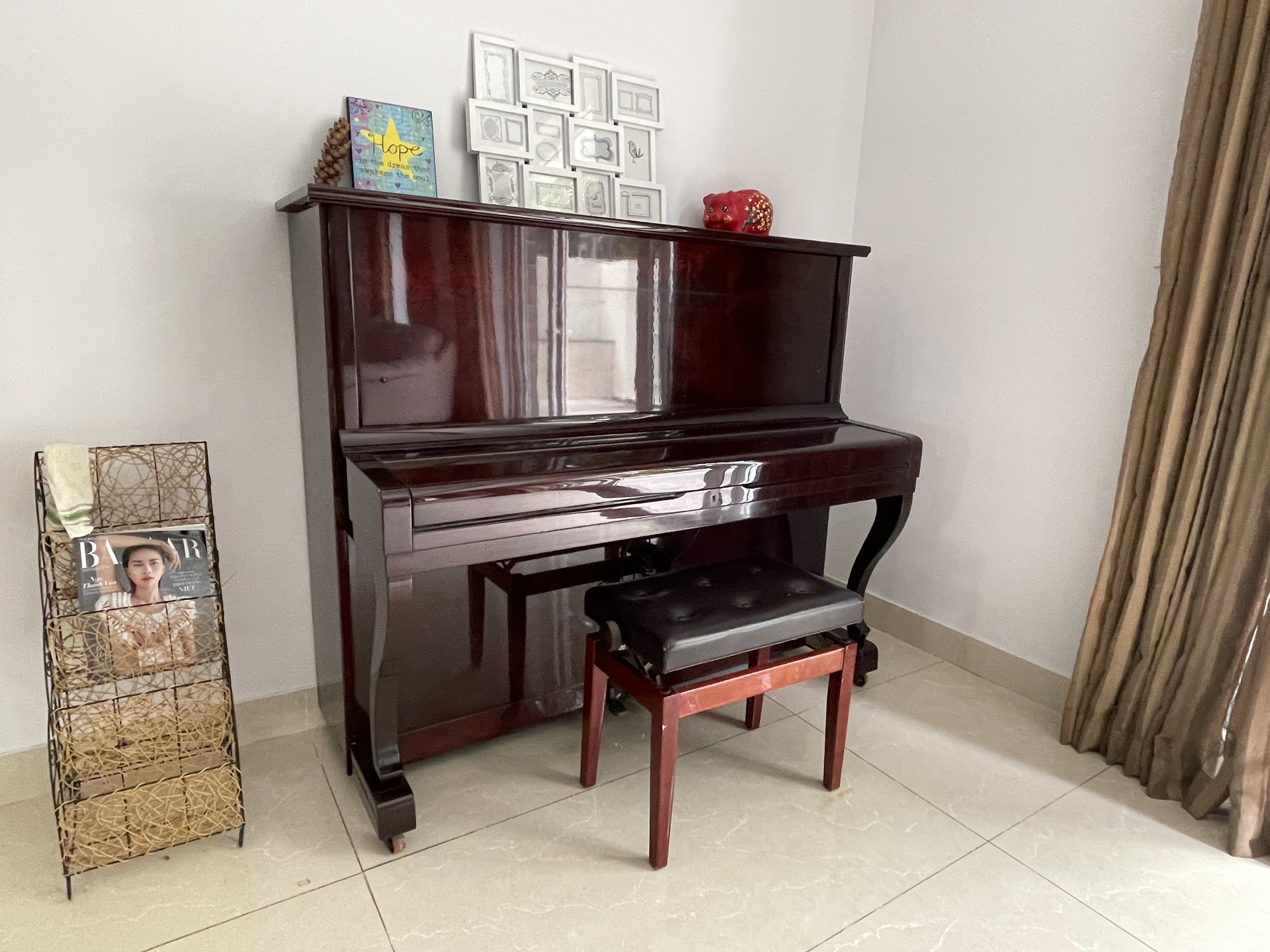 Cho Thuê Biệt Thự Đơn Lập Nam Thông Phú Mỹ Hưng 7