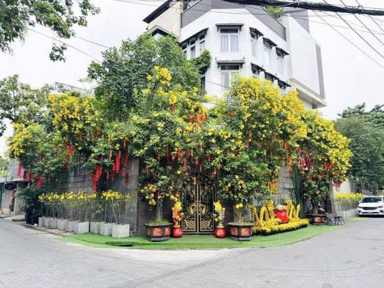 Bán biệt thự ca sĩ Đàm Vĩnh Hưng cư xá Bắc Hải, Quận 10 khu VIP 2 mặt tiền xây 6 tầng, hồ bơi – 378. 3