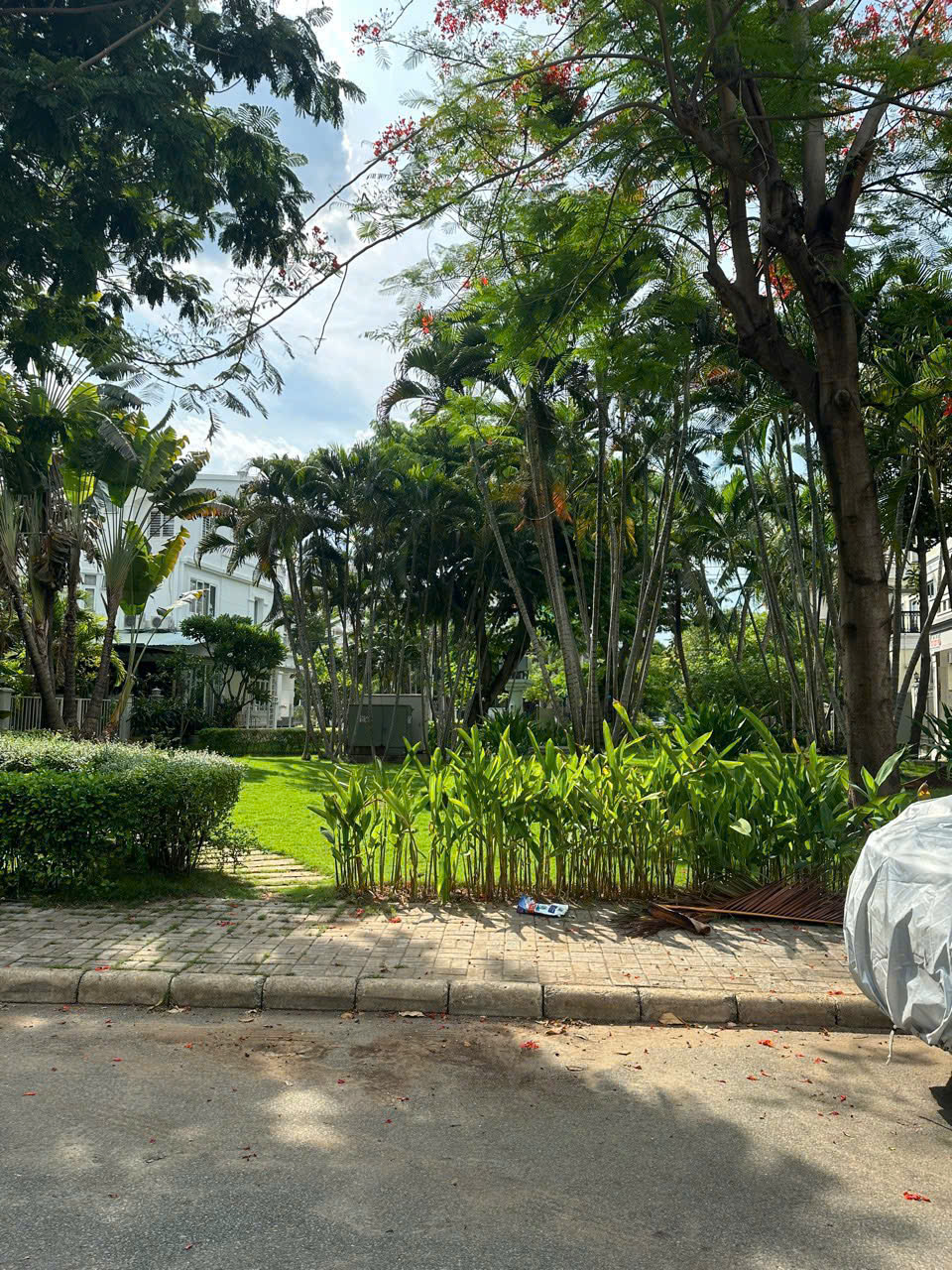 Bán biệt thự đơn lập Nam Thông 1, Phú Mỹ Hưng, Quận 7 xây 3 tầng có 4 phòng ngủ đối diện công viên 1 9