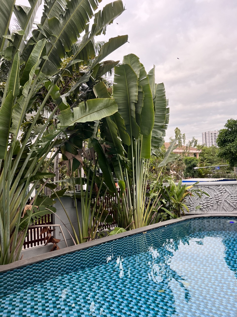 Cho thuê biệt thự đơn lập A71 Nam Thông 1 Phú Mỹ Hưng, Quận 7 căn góc, 4 phòng ngủ, hồ bơi 13