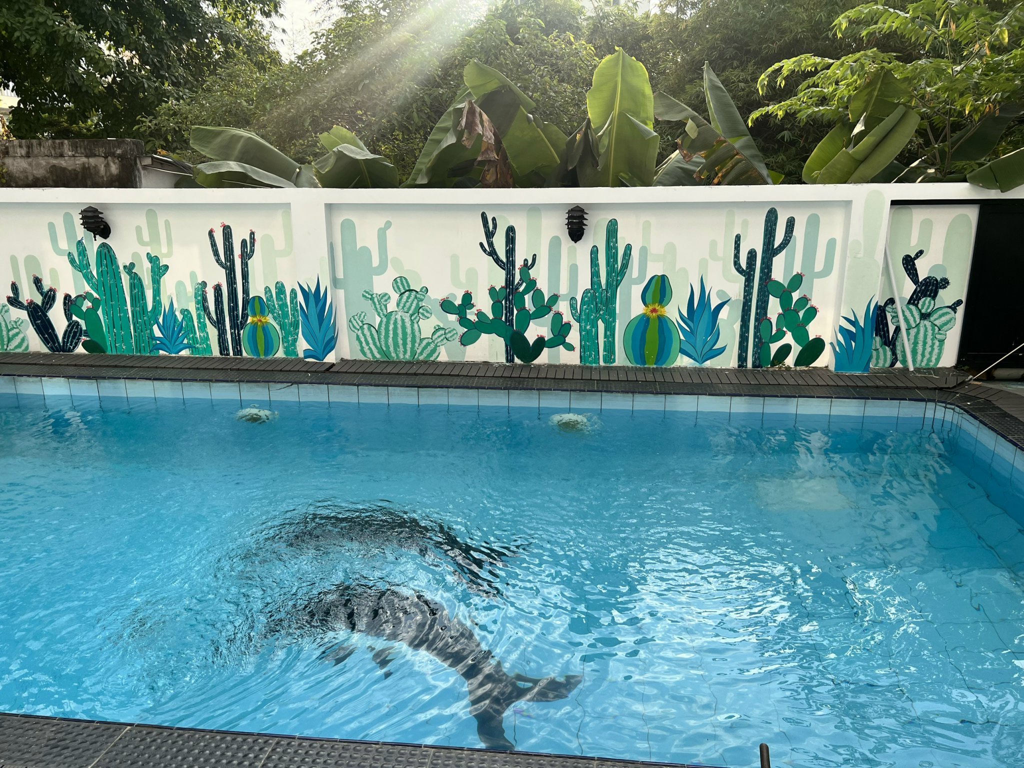 Cho thuê biệt thự Hoa Ban Phước Kiển Nhà Bè có 5 phòng ngủ cạnh Phú Mỹ Hưng 14