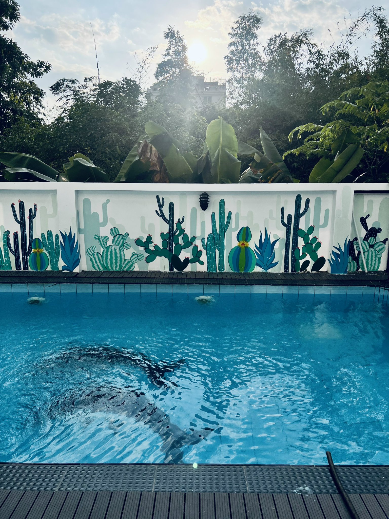 Cho thuê biệt thự Hoa Ban Phước Kiển Nhà Bè có 5 phòng ngủ cạnh Phú Mỹ Hưng 8