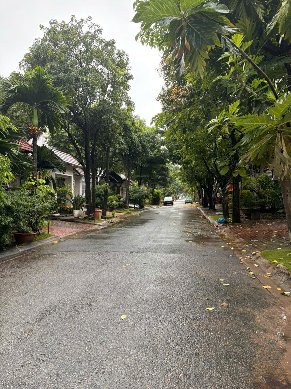 Bán biệt thự khu Compound Nam Phú, Quận 7 xây 3 tầng có 5 phòng ngủ, cạnh sông – 264m2 8