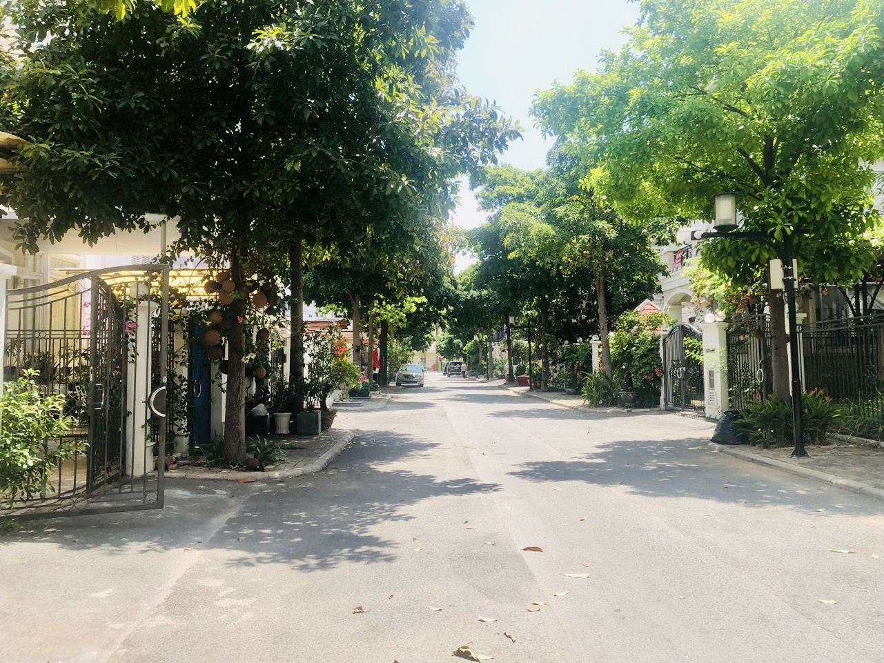 Bán Biệt Thự Đơn Lập Khu Nam Viên Phú Mỹ Hưng 4