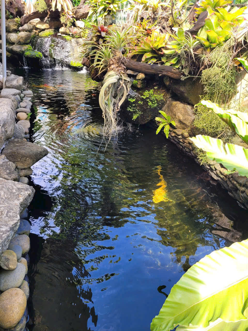 Cho thuê biệt thự Phú Gia Phú Mỹ Hưng, Quận 7 có 3 phòng ngủ, sân vườn, nội thất cao cấp – 317m2 5