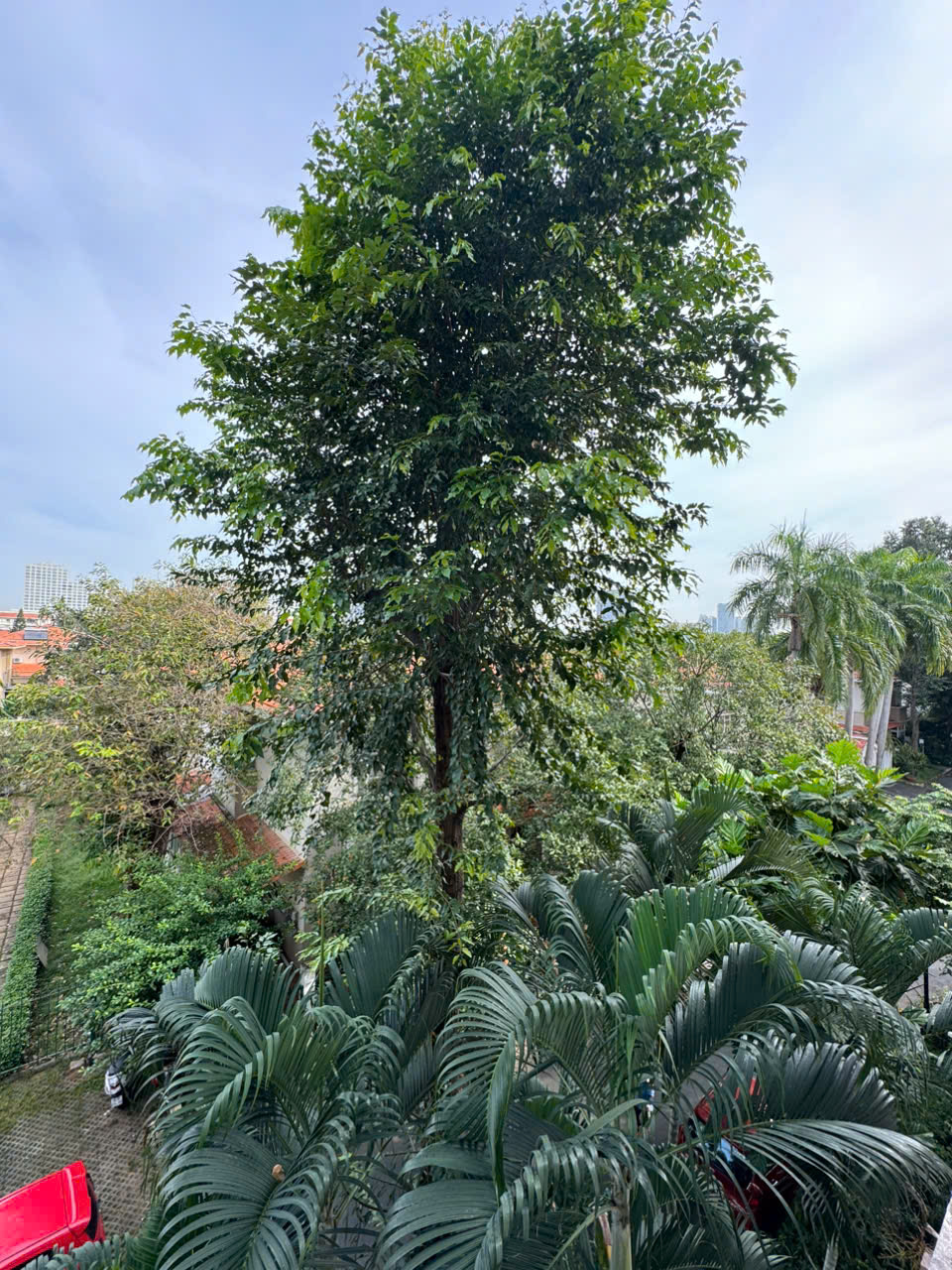 Cho thuê căn hộ penthouse Mỹ Tú Phú Mỹ Hưng, Quận 7 có 3 phòng ngủ thang máy riêng đầy đủ nội thất 13