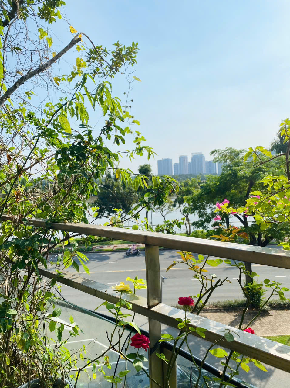 Bán hoặc cho thuê căn hộ Panorama Phú Mỹ Hưng, Quận 7 có 2 phòng ngủ, 2 ban công rộng, sân vườn 16