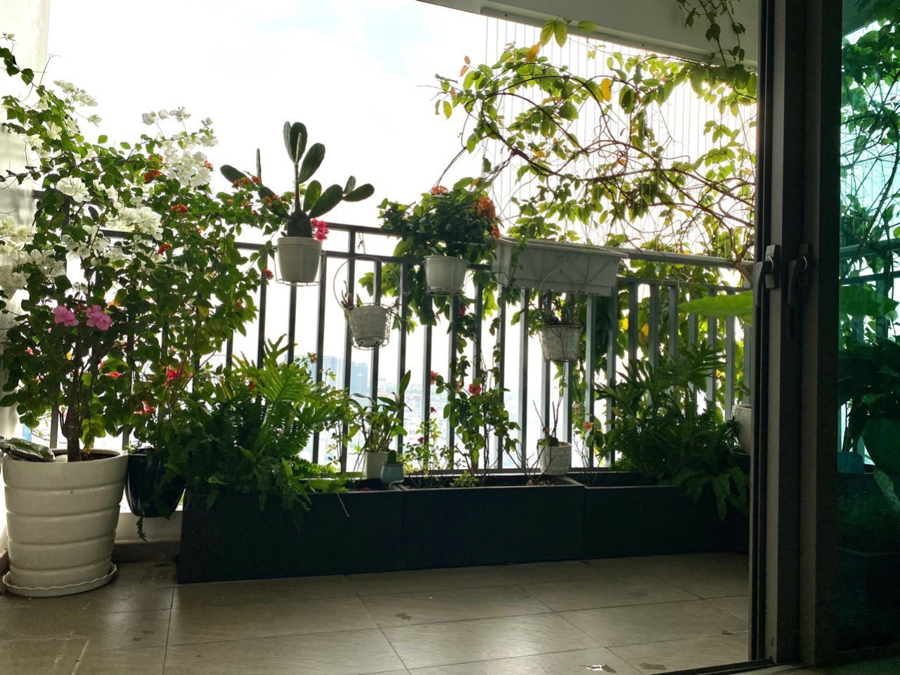 Riviera Point Apartment For Sale High Floor Nice View 9