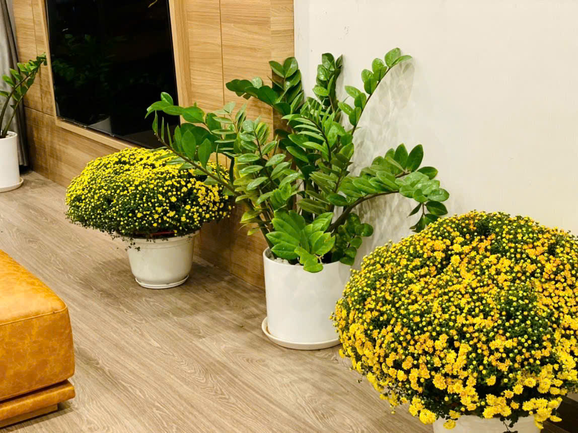 Bán căn hô The View Riviera Point Quận 7 thiết kế 3 phòng ngủ, view Đông Nam, lầu trung – 125m2 3