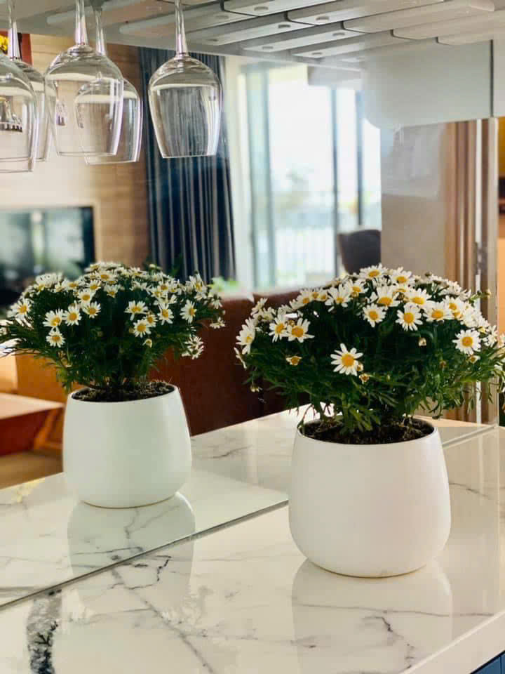 Bán căn hô The View Riviera Point Quận 7 thiết kế 3 phòng ngủ, view Đông Nam, lầu trung – 125m2 9