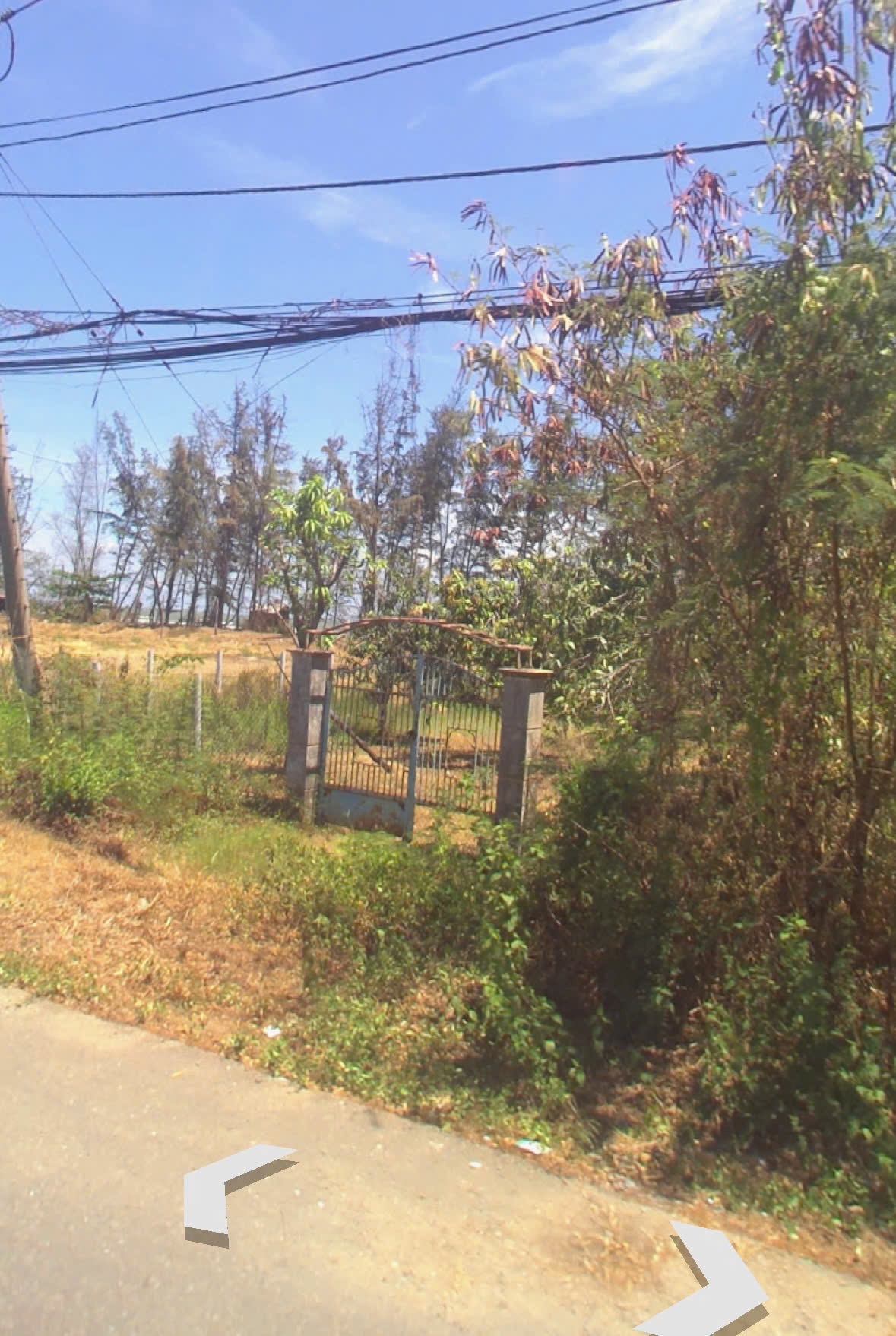 Bán đất mặt tiền đường Duyên Hải, Long Hòa, Cần Giờ gần biển, diện tích lớn, đất cây lâu năm có 200m 6