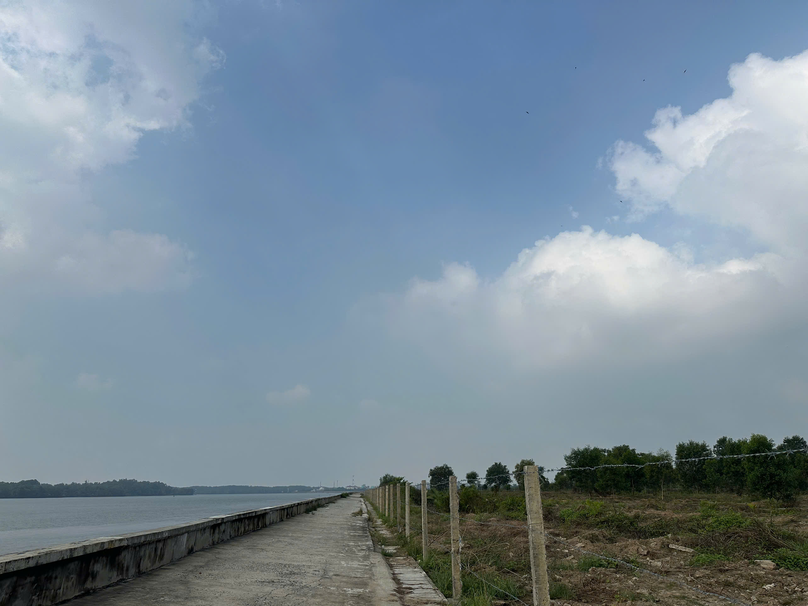 Bán đất mặt tiền Tam Thôn Hiệp và sông Lòng Tàu, Cần Giờ đất thổ cư diện tích lớn – 29.937m2 8