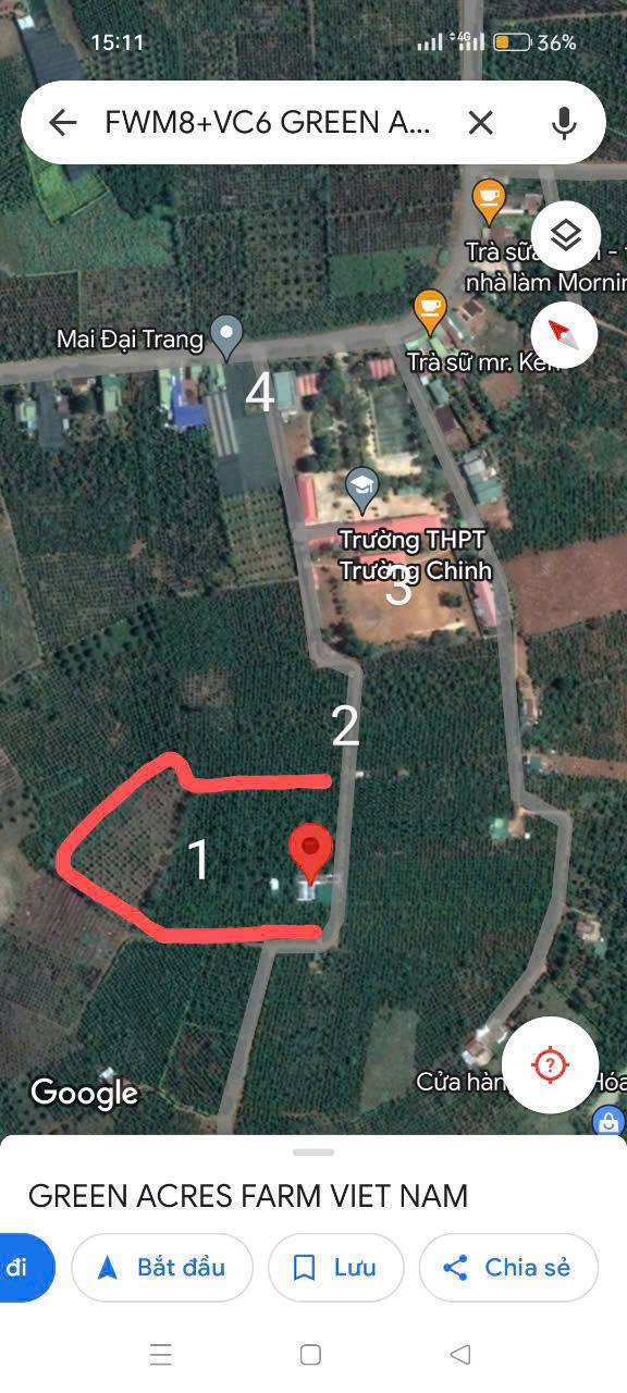 Bán đất trồng cây 1.5ha Di Linh, Lâm Đồng có 3 mặt tiền, trên đất có trồng cà phê và sầu riêng 3