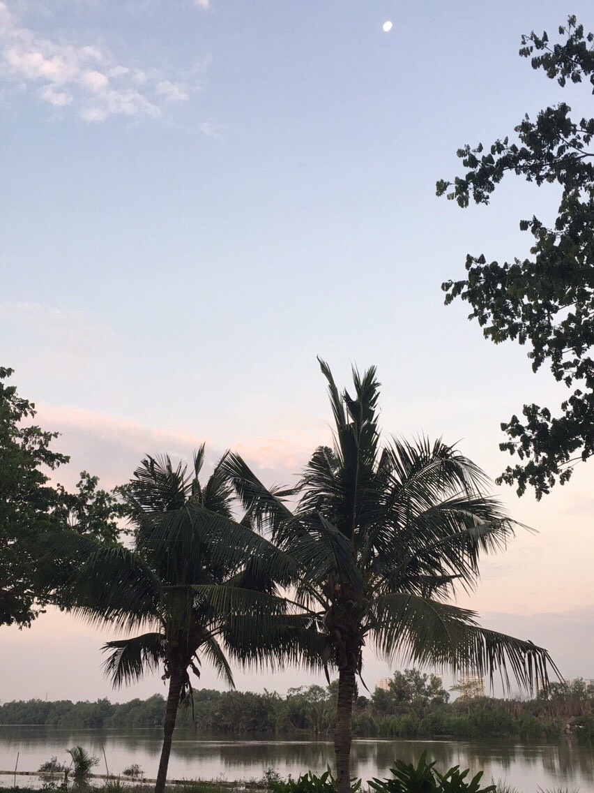 FOR RENT RIVERSIDE APARTMENT IN PHU MY HUNG - TAN PHU WARD - DISTRICT 7 1