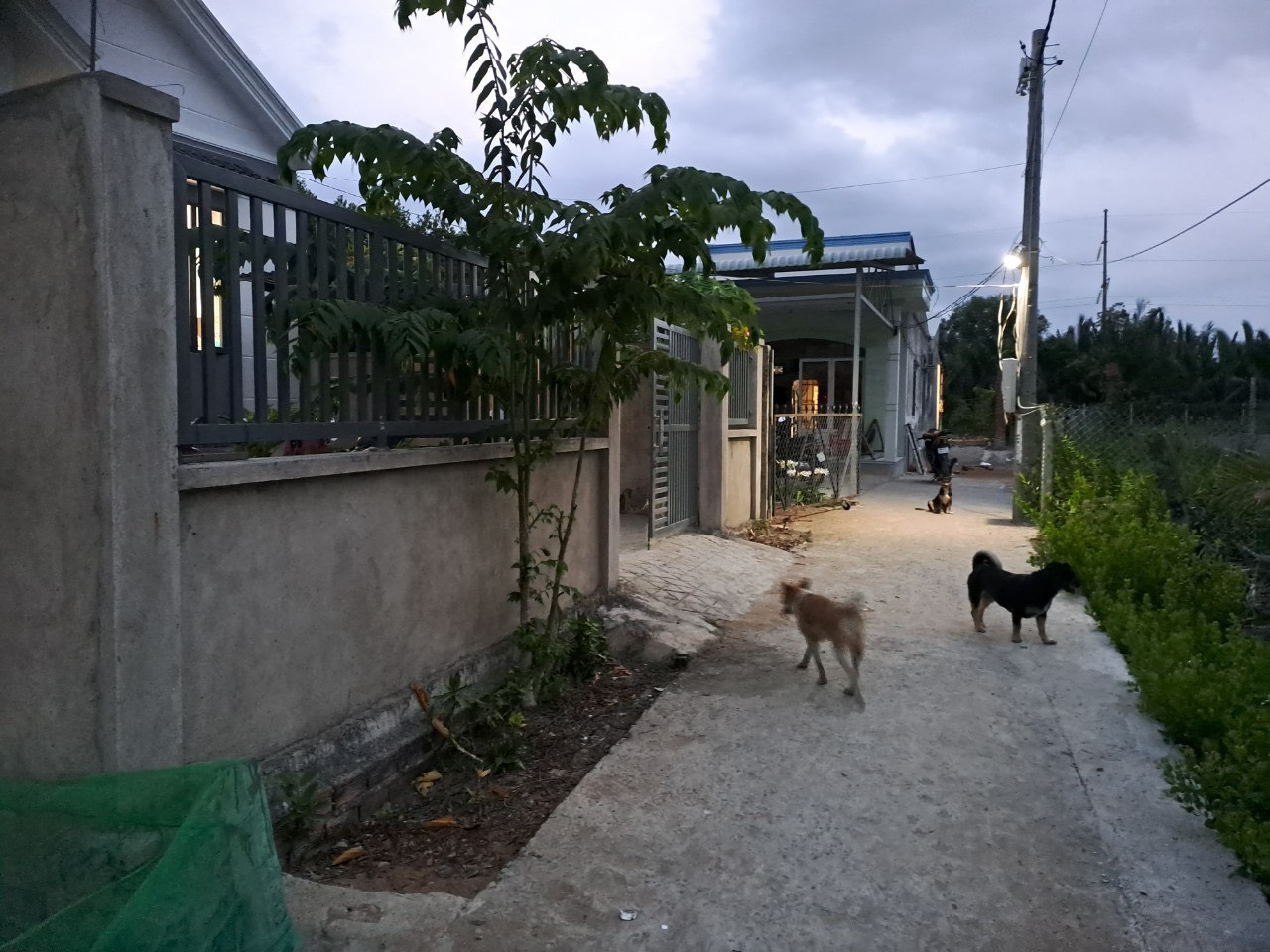 Bán nhà vườn Xã Bình Khánh, Huyện Cần Giờ nhà mới xây có 91m2 thổ cư đường rộng 3m2 2