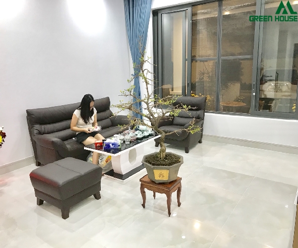 Need to rent villas Nine South front Nguyen Huu Tho: