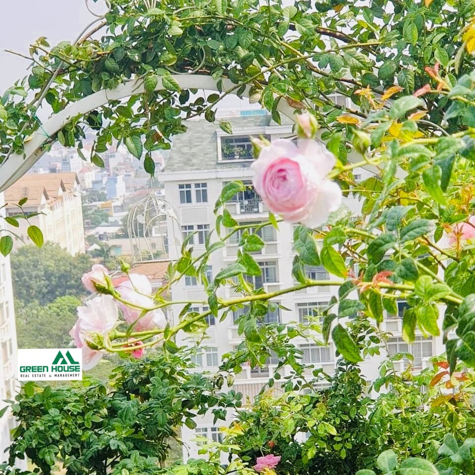 Bán PentHouse Cảnh Viên Phú Mỹ Hưng 5