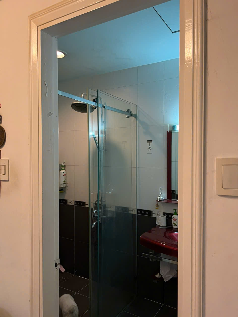 Bán penthouse Hoàng Tháp Plaza, Bình Hưng, Bình Chánh có 5 phòng ngủ, view sông Ông Lớn 6