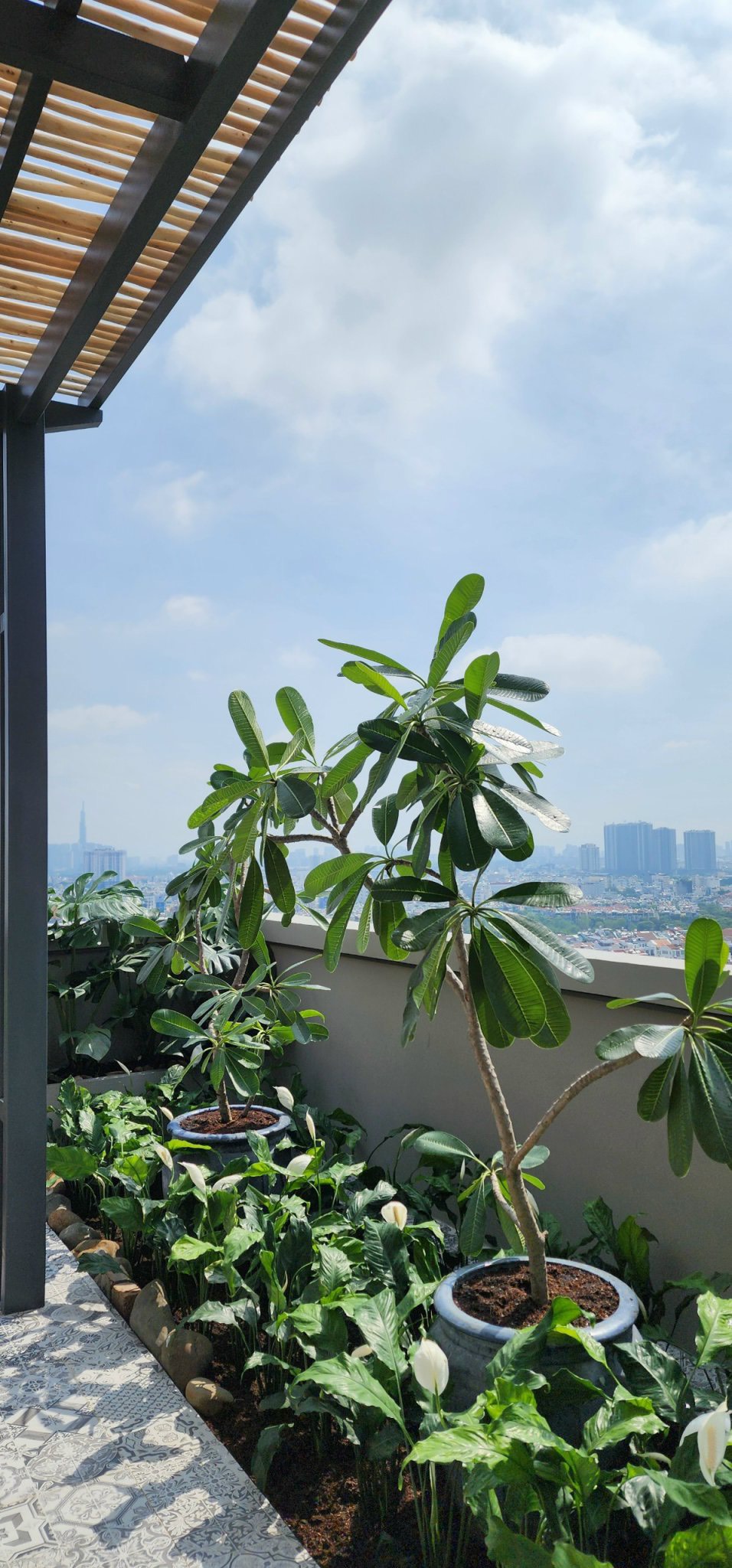 Penthouse for sale Sky Garden 2 Phu My Hung, District 7 has 5 bedrooms, 3 gardens 18