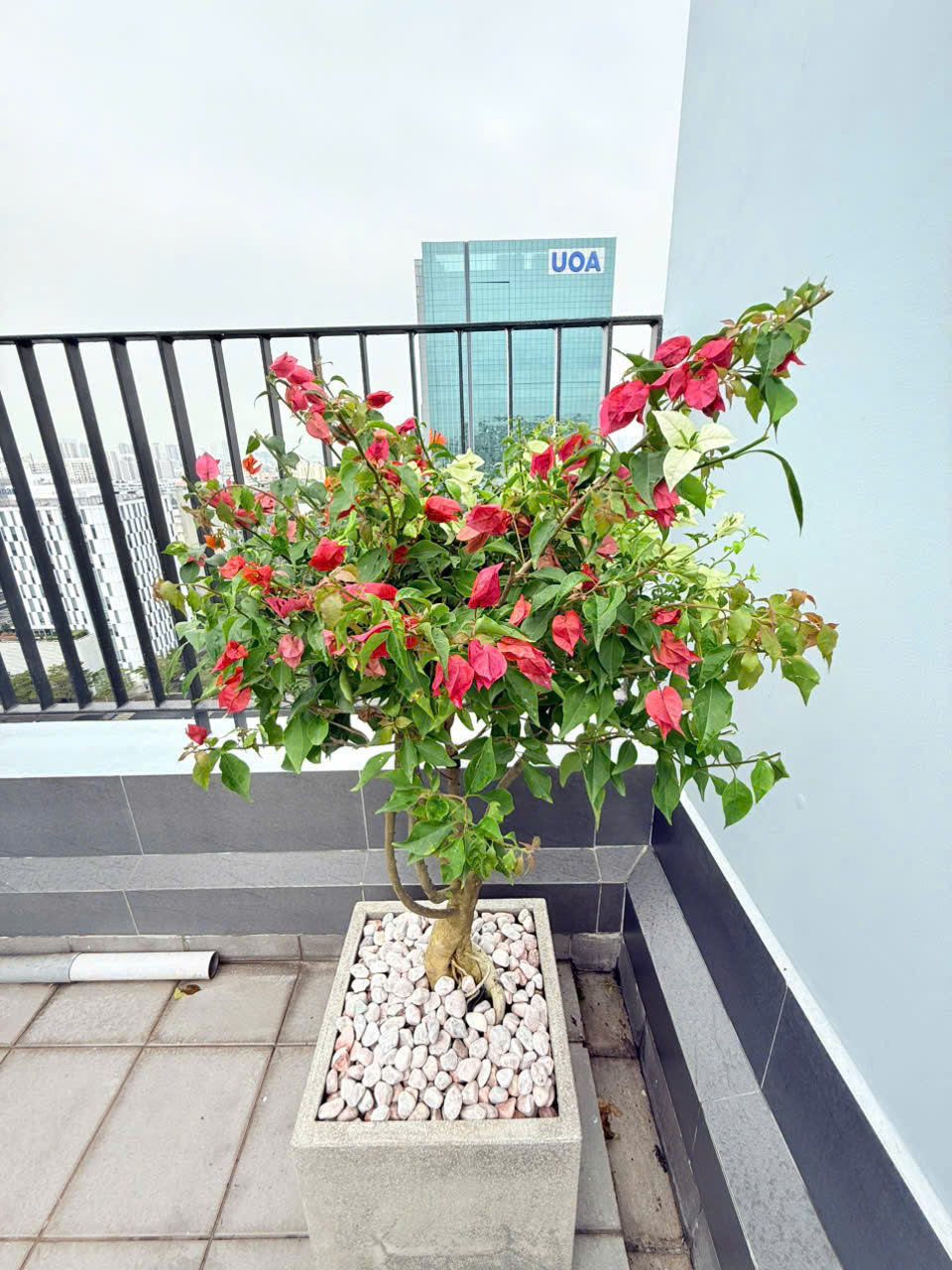 Cho thuê penthouse Star Hill Phú Mỹ Hưng, Quận 7 có 4 phòng ngủ nội thất cao cấp, sân thượng thoáng  11