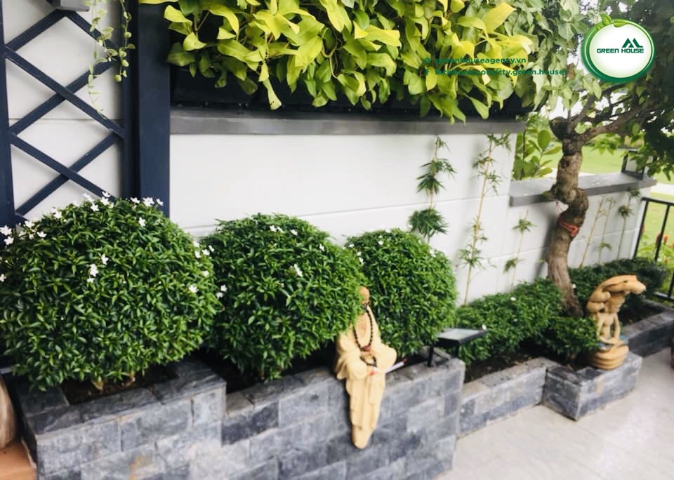 CẦN BÁN BIỆT THỰ ĐƠN LẬP NINE SOUTH  6