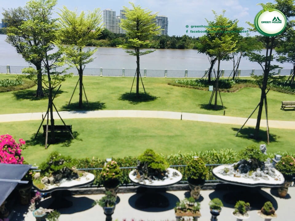 CẦN BÁN BIỆT THỰ ĐƠN LẬP NINE SOUTH  1