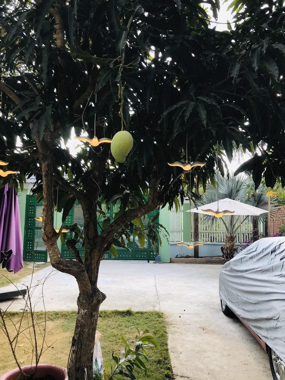 CẦN BÁN BIỆT THỰ TRÊN ĐƯỜNG NGÔ QUANG THẮM HUYỆN NHÀ BÈ 5