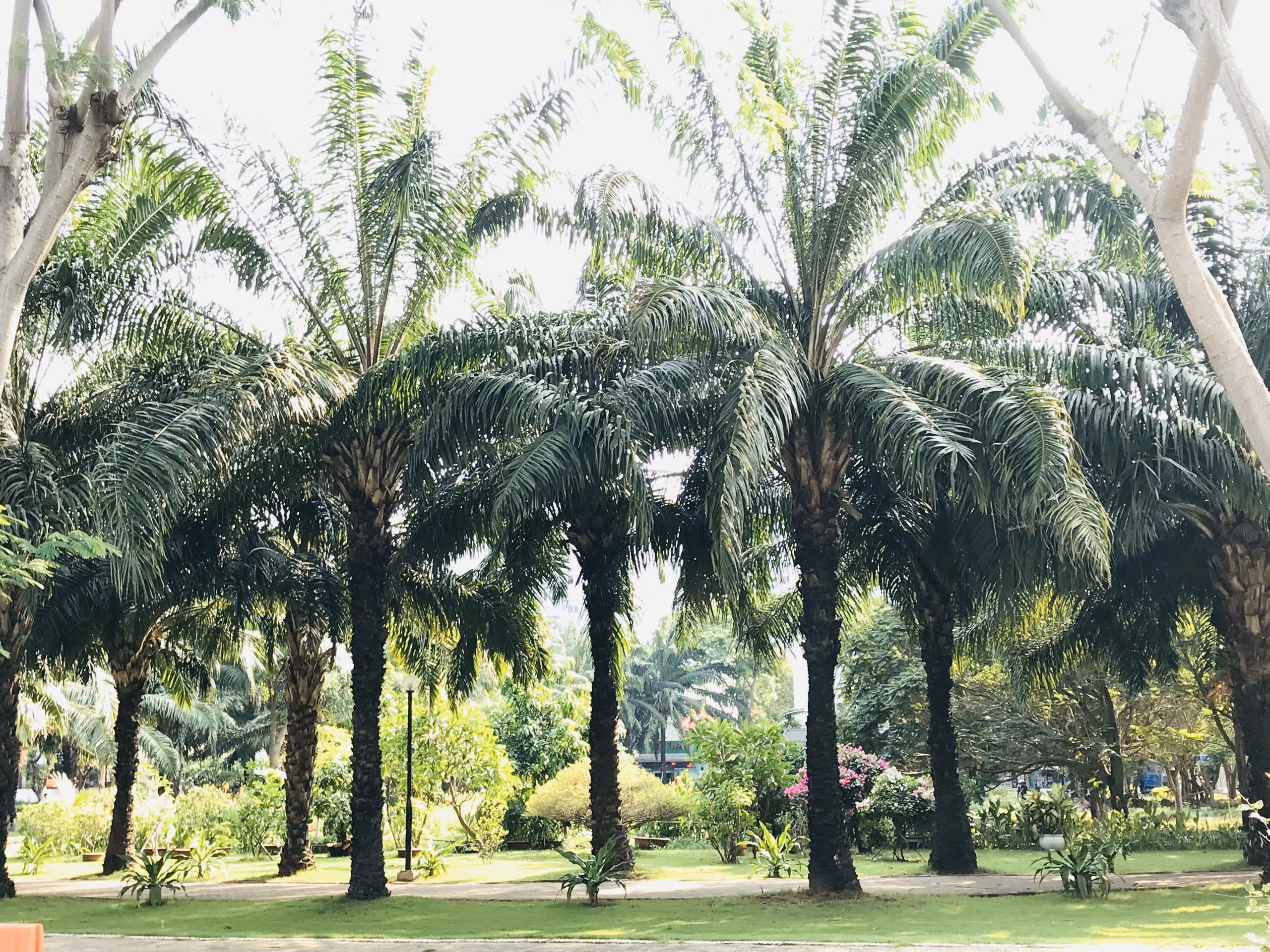 For rent garden townhouse in Phu My Hung District 7 2