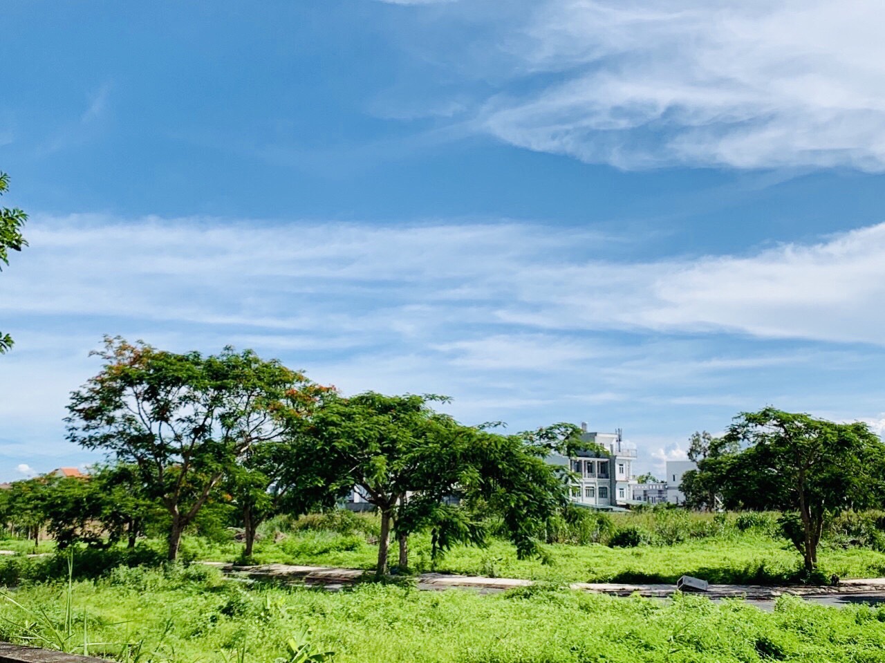   BIỆT THỰ PHÁP GIỮA LÒNG NAM SÀI GÒN- QUẬN 7 10