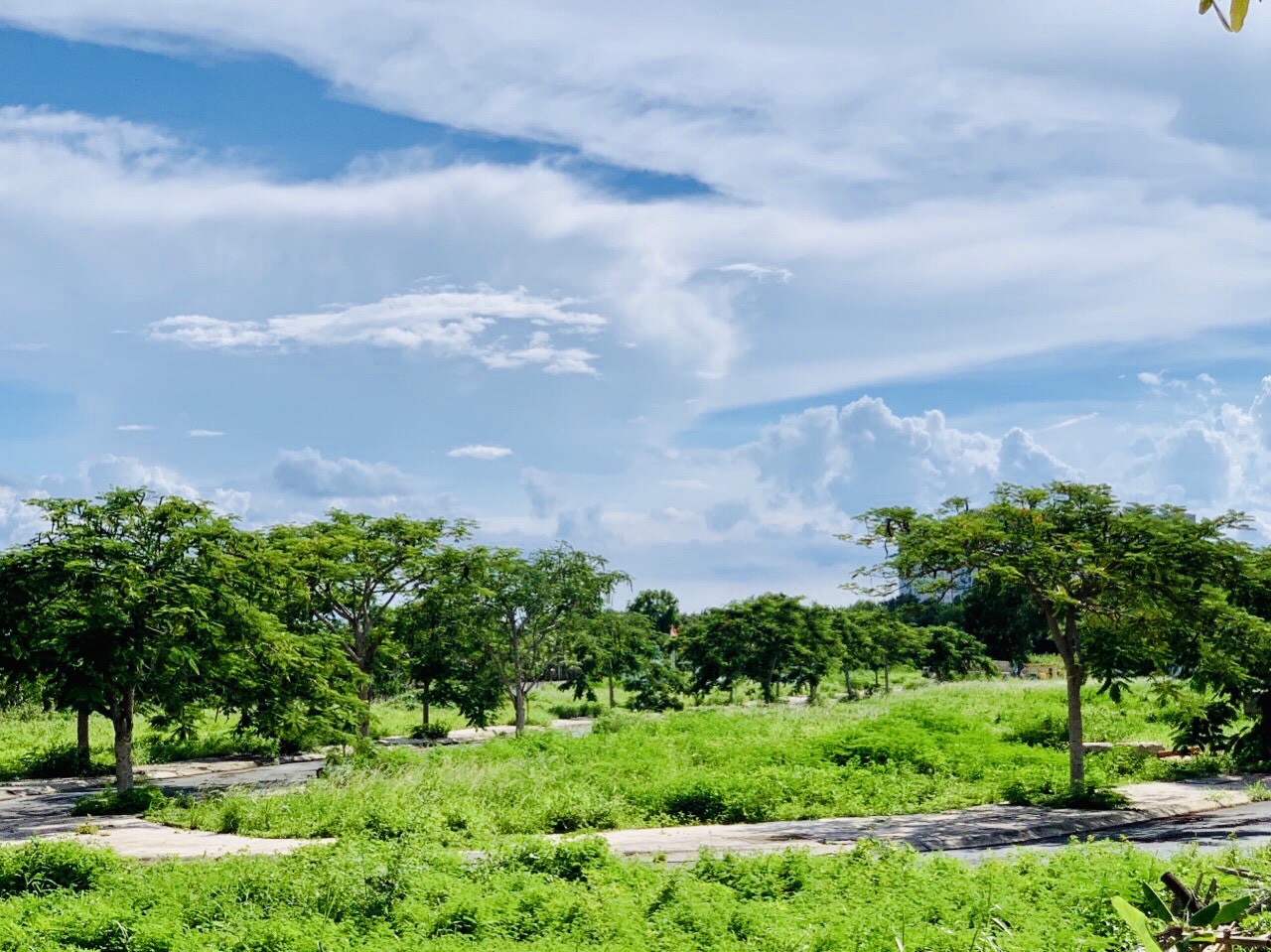   BIỆT THỰ PHÁP GIỮA LÒNG NAM SÀI GÒN- QUẬN 7 6