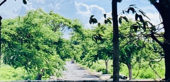   BIỆT THỰ PHÁP GIỮA LÒNG NAM SÀI GÒN- QUẬN 7 5