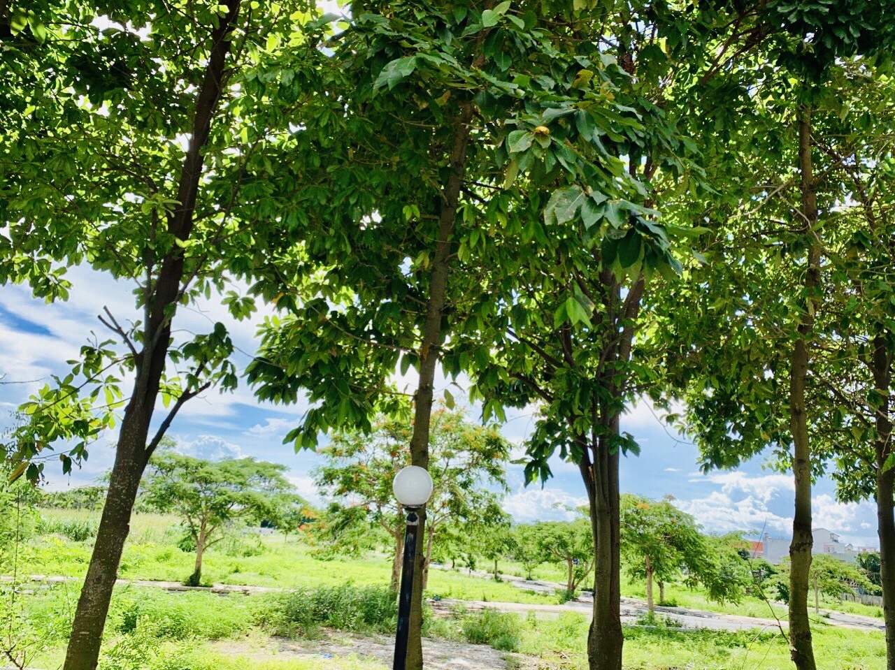   BIỆT THỰ PHÁP GIỮA LÒNG NAM SÀI GÒN- QUẬN 7 2