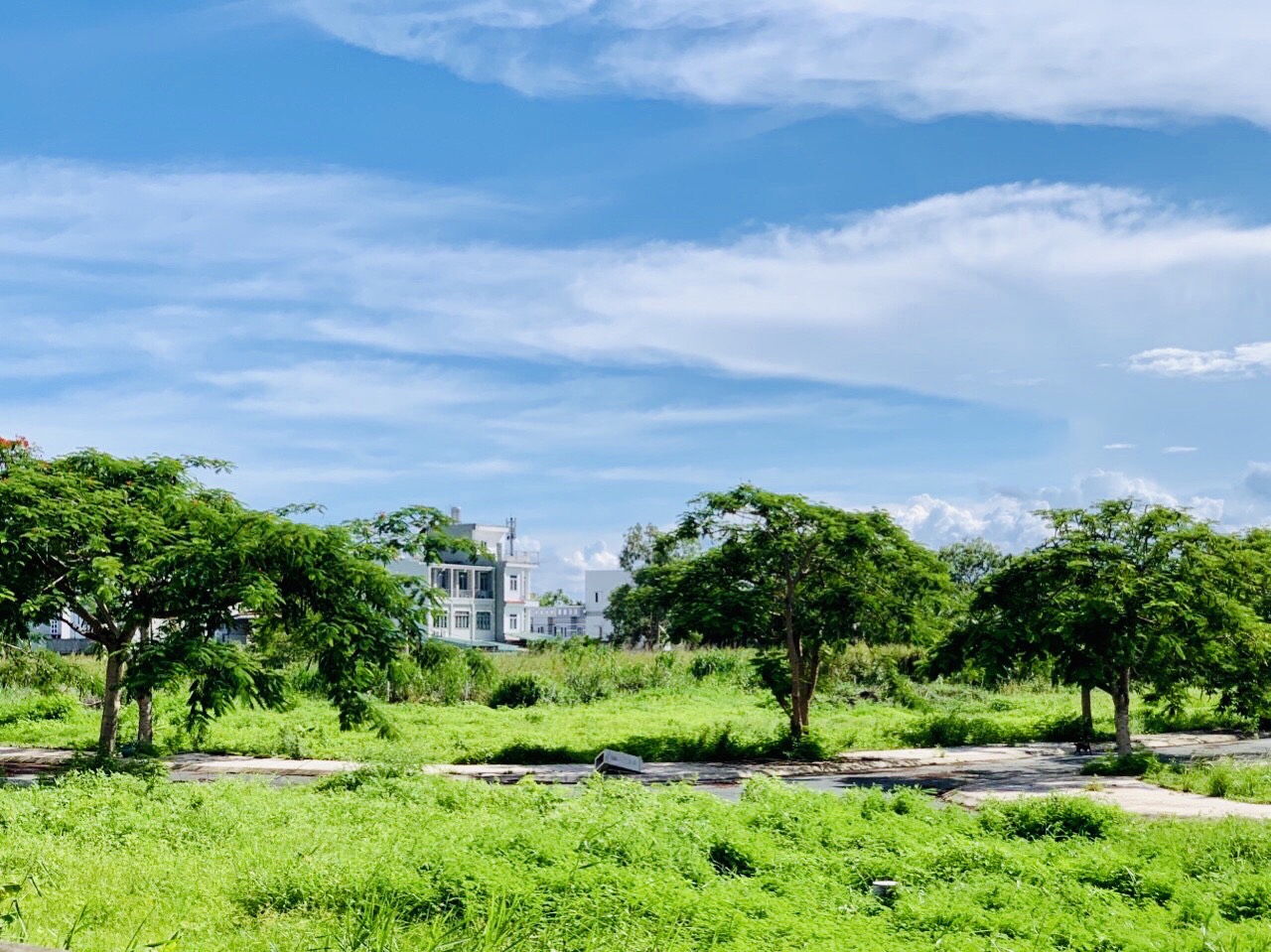   BIỆT THỰ PHÁP GIỮA LÒNG NAM SÀI GÒN- QUẬN 7 1