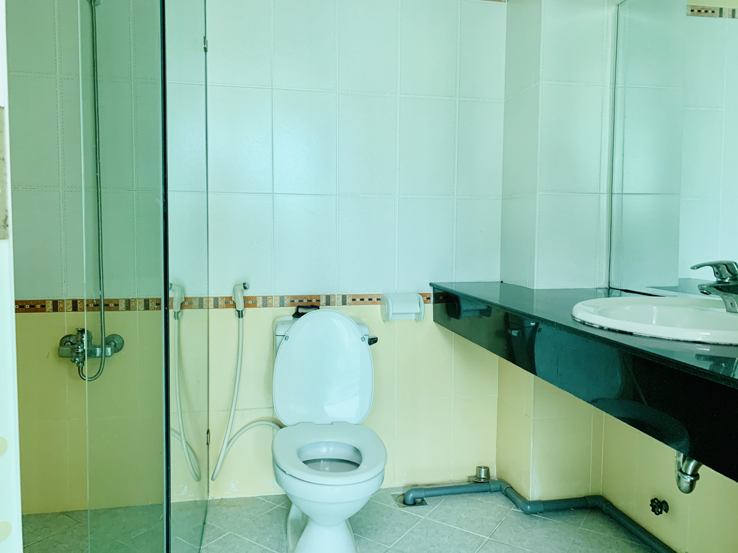 Cho Thuê Căn Hộ Dịch Vụ Hoặc Làm Văn Phòng Đường Phạm Thái Bường Nam Thiên Phú Mỹ Hưng Quận 7 1