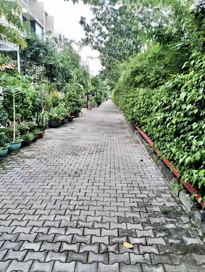 Bán Gấp biệt thự Galleria, Đường Nguyễn Hữu Thọ, Xã Phước Kiển, Nhà Bè 2