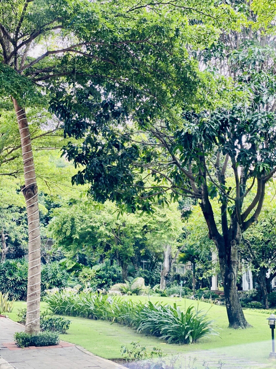 Cần Bán Nhanh Biệt Thự Đơn Lập Cao Cấp Khu Chateau Phú Mỹ Hưng 8