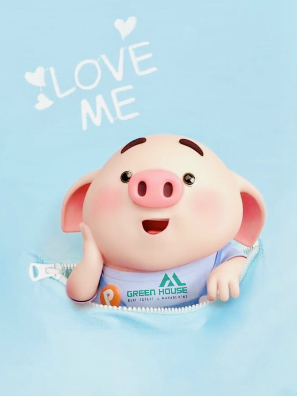 Cần Bán Biệt Thự Khu Kim Long - Nguyễn Hữu Thọ - Nhà Bè 2