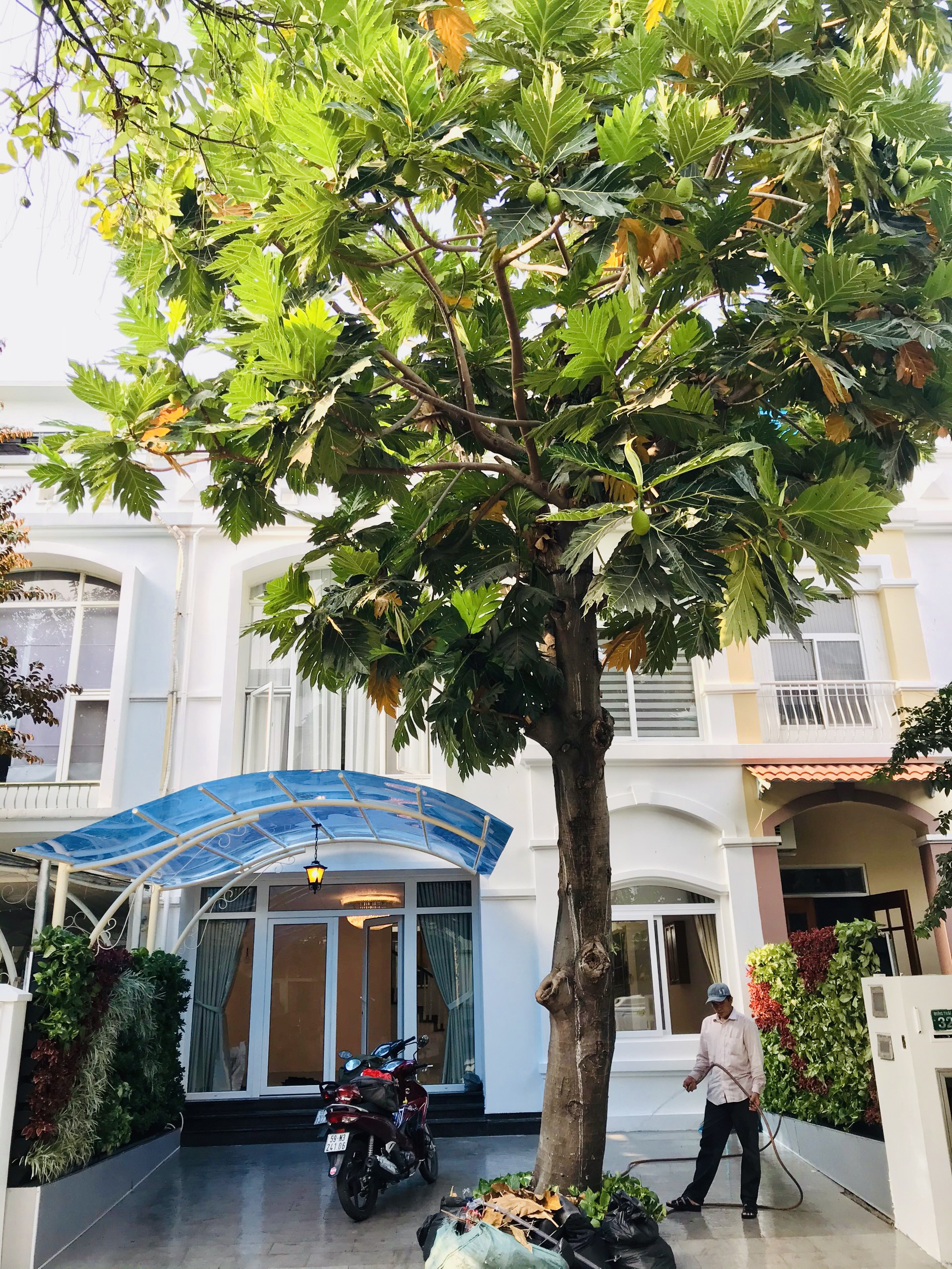 Cần Bán Nhà phố vườn Hưng Thái -  Phú Mỹ Hưng - Quận 7 9