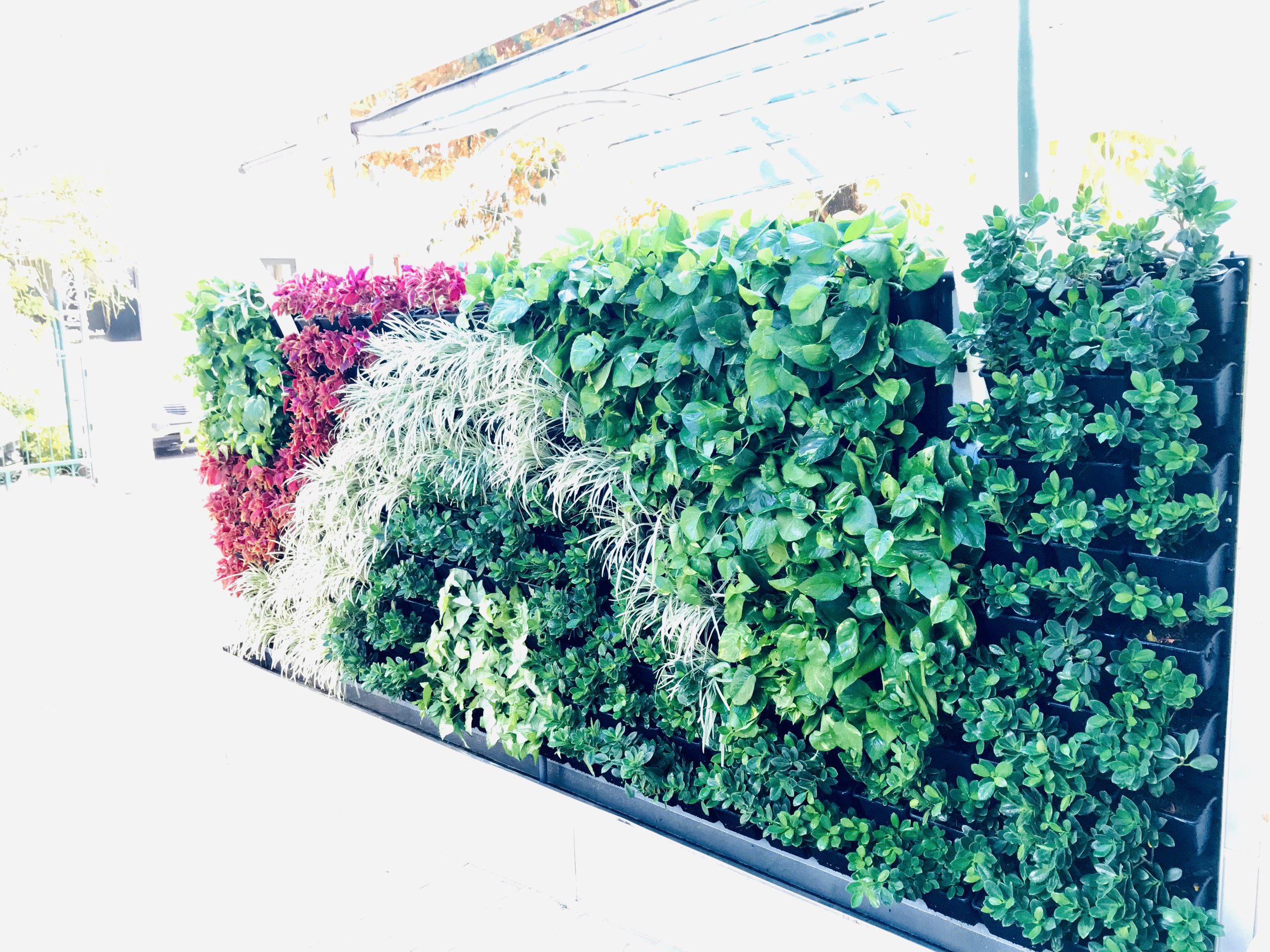 Cần Bán Nhà phố vườn Hưng Thái -  Phú Mỹ Hưng - Quận 7 6